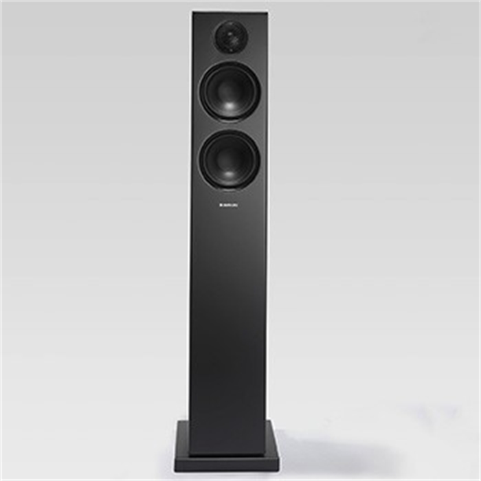 Afbeelding van AUDIO PRO 14170 - Bluetooth®-vloerstaande luidsprekers Addon T20, Zwart, 2 stuks