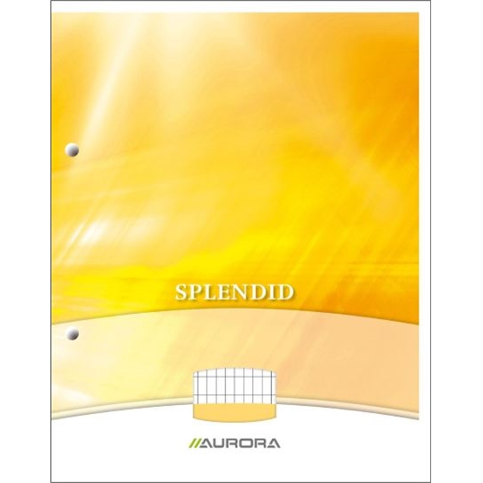 Image de AURORA D102CDC - Bloc-notes Splendid DIN A4, 29,7x21 cm, 2 trous, quadrillé, 4x8 mm, Multi couleur