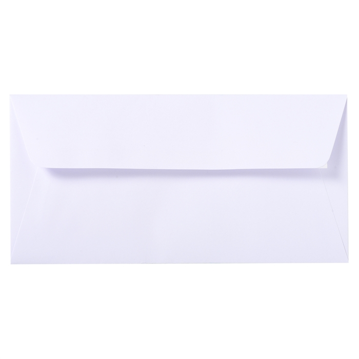 Image de EXACOMPTA 46700L - 25 enveloppes doublées DL Vélin adhésives